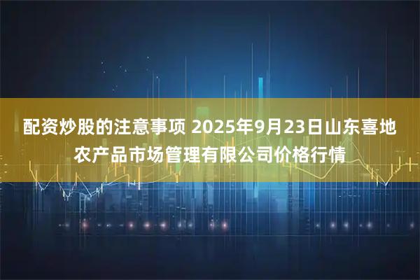 配资炒股的注意事项 2025年9月23日山东喜地农产品市场管理有限公司价格行情