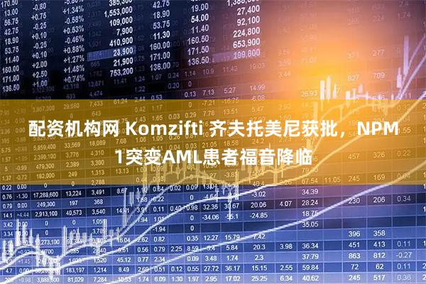 配资机构网 Komzifti 齐夫托美尼获批,NPM1突变AML患者福音降临